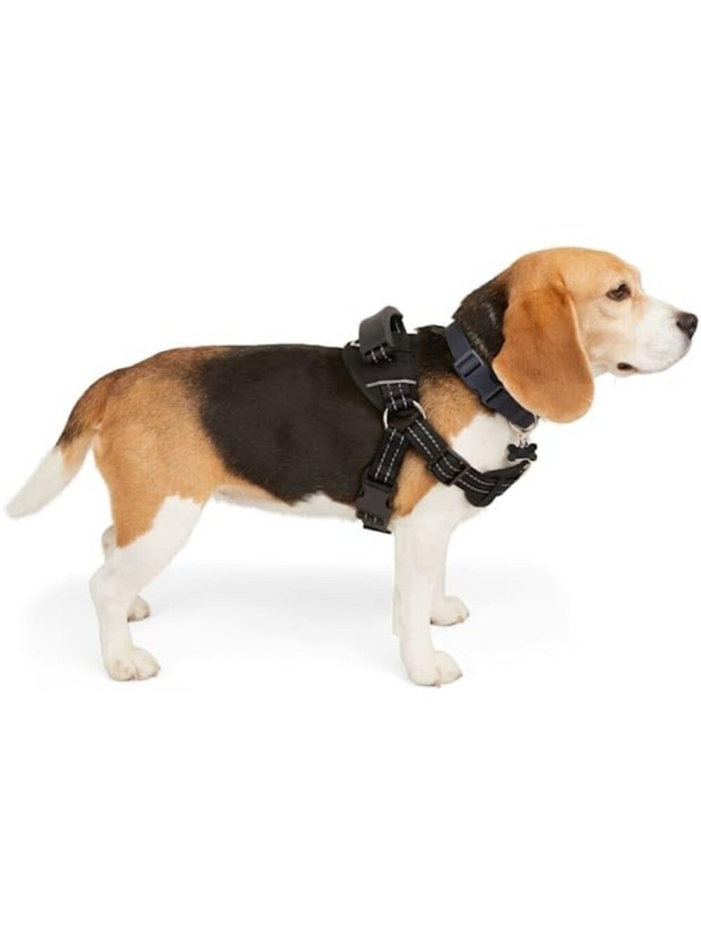 EveryYay Black Easy On Training Dog Harness XS Adjustable Petco Extra Small - Picture 2 of 10
